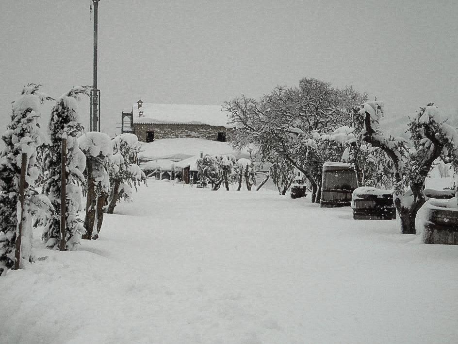 Agriturismo Ca' Maggio Sasso Feltrio Quarto foto